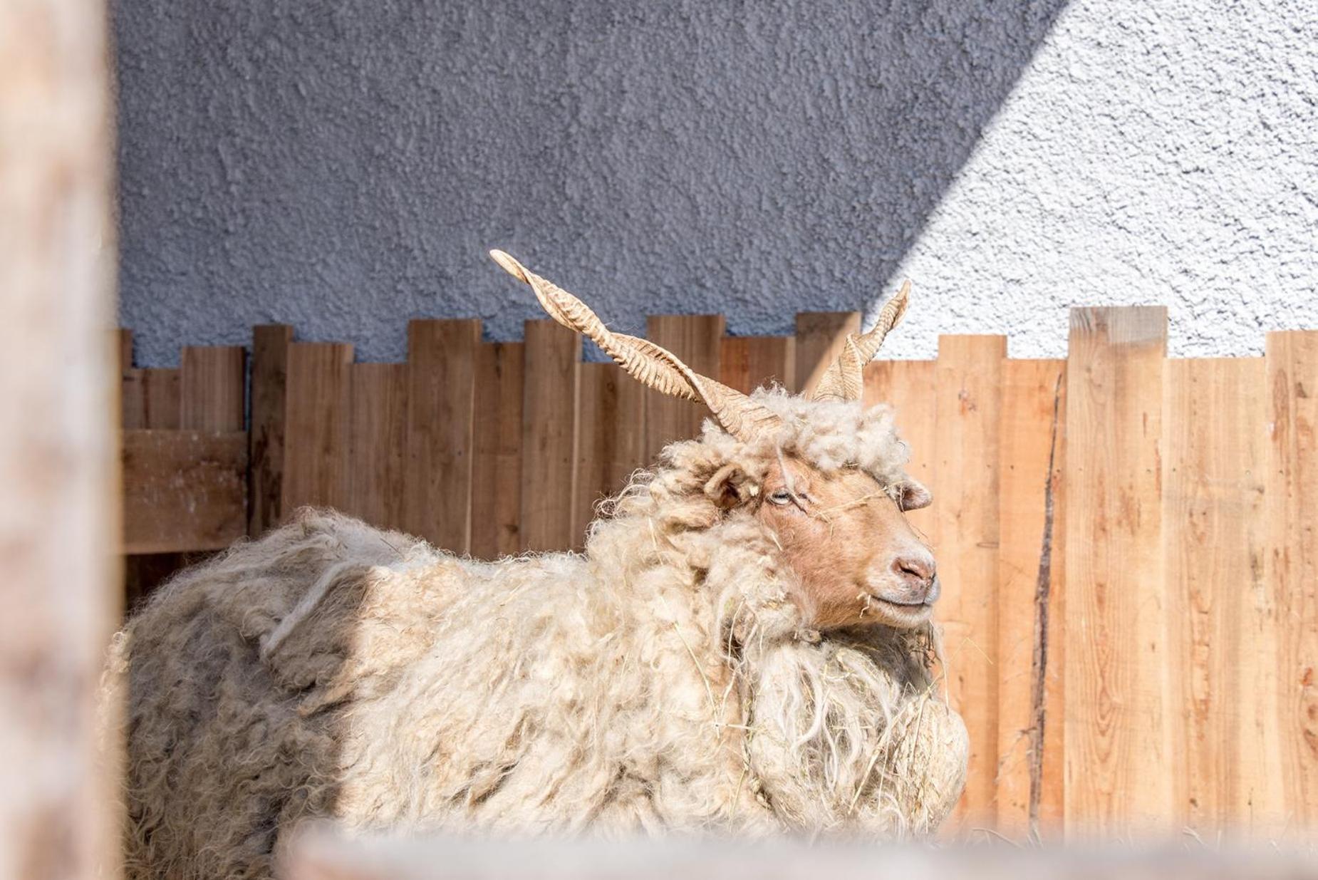 Südtirol Valsegg * Vals